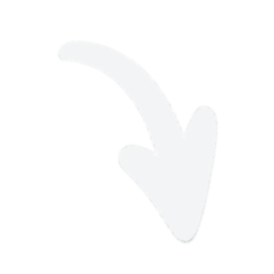 The Learning Loop